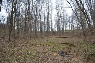 0 Sandstone Rd Unit 1268503, Valley Township, PA 16201