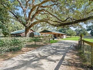 4551 NE 160th Ave, Williston, FL 32696