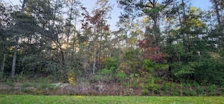 10165 Hennessey Ave, Hastings, FL 32145