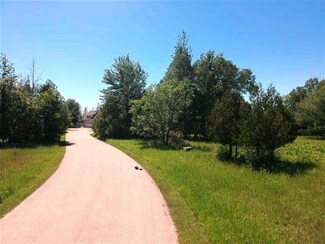 0 Amon Ln Unit 465604, Alanson, MI 49706