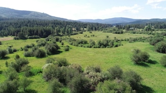 29251 Highway Dr, Saint Maries, ID 83861