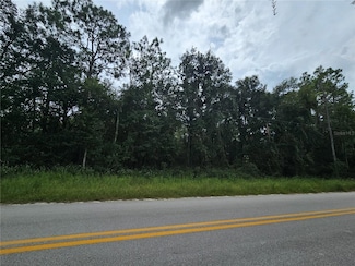 9830 NE 65th Ln, Bronson, FL 32621