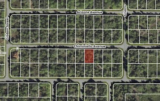 13101 Chiminiello Dr, Port Charlotte, FL 33953