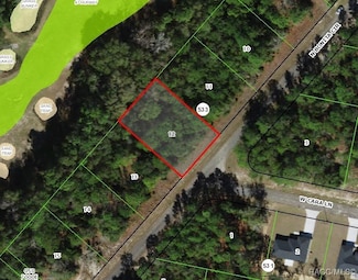 9778 N Bonita Cir, Citrus Springs, FL 34434