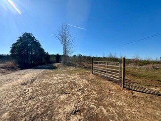 0 40 + - Acres Collier Rd, Golden, MS 38847