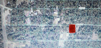 TBD NE 236th St Unit RD 10, Fort Mc Coy, FL 32134