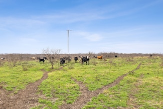 6555 Fm 638, Dawson, TX 76639