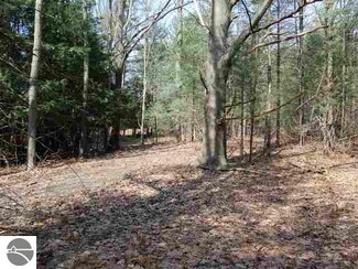 000 S Lake St Unit 4, Glen Arbor, MI 49636