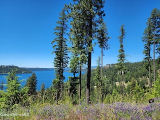 Lt69 Blk 3 S Turquoise Dr, Harrison, ID 83833