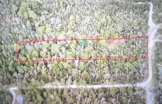 795 4th St E, Carnell, FL 32764