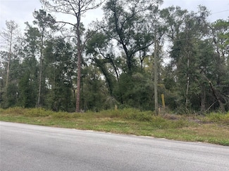 8723 N Alameda Dr, Dunnellon, FL 34434
