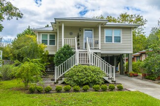 917 Royall Ave, Mount Pleasant, SC 29464