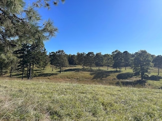 080 River Fish Rd, Smithville, OK 74957