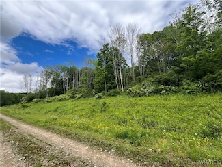 TBB Lot #5 42 Degrees N, Ellicottville, NY 14731