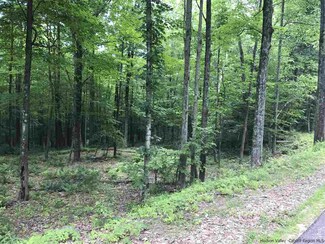 Parcel A Bennett Rd, Napanoch, NY 12458