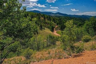 1300 Golden Cycle Cir, Cripple Creek, CO 80813