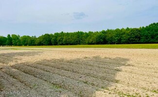 0001 Capps Bridge Rd, Princeton, NC 27569