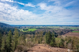 48 XX Reese Hill Rd, Sumas, WA 98295