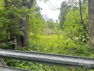 Lot 5 Brasstown Rd, Cullowhee, NC 28723