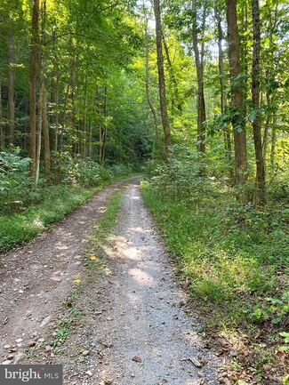 21.56 Acres Big Rough Run, Fort Seybert, WV 26802