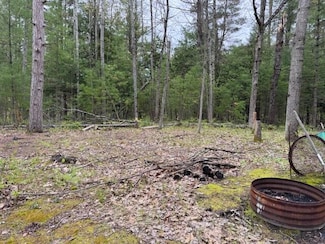 0 N 21 Rd Unit 25023731, Mesick, MI 49668
