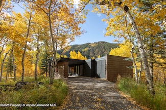 258 Roaring Fork Dr, Aspen, CO 81611