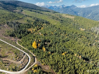 17 Mountain Club Fs Rd 6930, Leavenworth, WA 98826