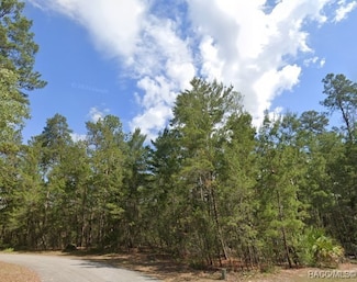 24 Browallia Ct, Homosassa, FL 34446