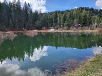 TBD Peaceful Pines Rd Unit 13, Council, ID 83612