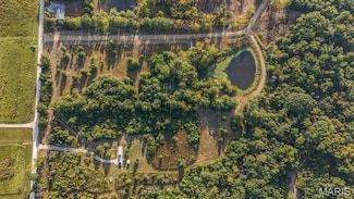 10 Hopkins Rd, Salt River Township, MO 63462