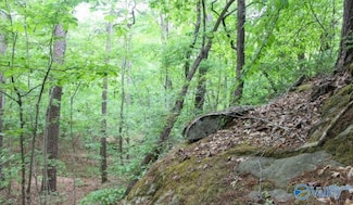 Lot 11 Bear Creek Trail, Fort Payne, AL 35967