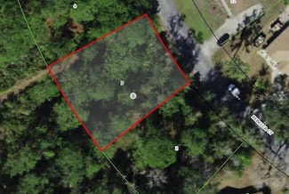 12 Rebecca Ct, Sugarmill Woods, FL 34446