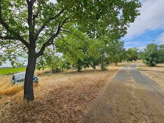 6570 E County Road 49 1/2, Willows, CA 95988