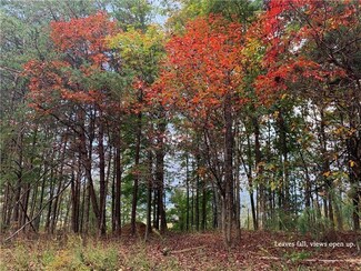 1088 Mayfield Ln NE, Ranger, GA 30734