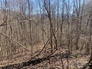 00 Ash Branch Cir Unit 38C, Hayesville, NC 28904