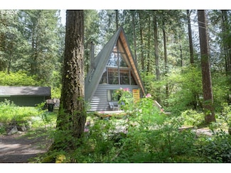 25240 E Tiger Lily Dr, Rhododendron, OR 97049