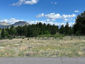 173 S Skyline Dr, South Fork, CO 81154