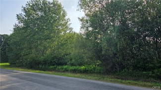 000 Irish Ridge Rd, Durhamville, NY 13054