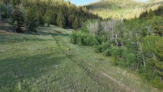 Tbd X-L Heights Rd, Butte, MT 59701