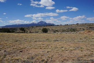 TBD Bluffs Blvd, Cortez, CO 81321