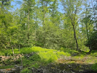 0 Stones Mill Rd Unit 5045865, Chesterfield, NH 03443