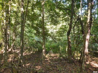 3830 Gum Springs Rd, Ozark, IL 62972