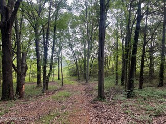 107 Cherrydale Dr, Coldwater, MS 38618