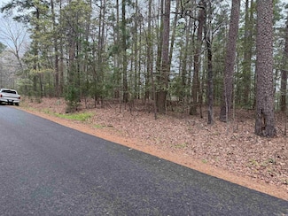 51 Zarpa Way, Hot Springs Village, AR 71909