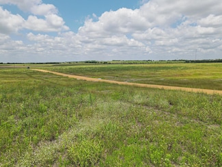 TBD Fm Cr 109 Pool Ln #17, Buckholts, TX 76518