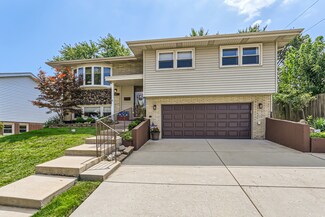 8853 W 89th St, Hickory Hills, IL 60457