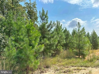 0 Davis Lowground Road (Tract Big Juniper-1) Unit VALB2000050, Keysville, VA 23947