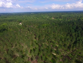 TBD Cr 347 - T5, Gladewater, TX 75647
