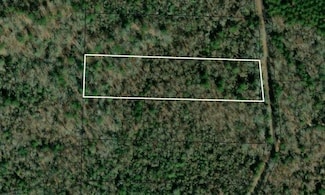 TBD County Road 751, Nacogdoches, TX 75964