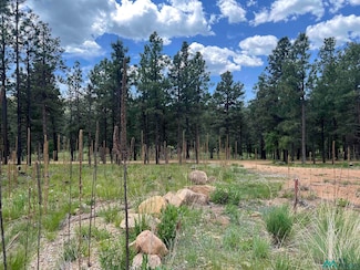 22 Calle Retiro, Rociada, NM 87742